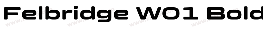 Felbridge W01 Bold字体转换